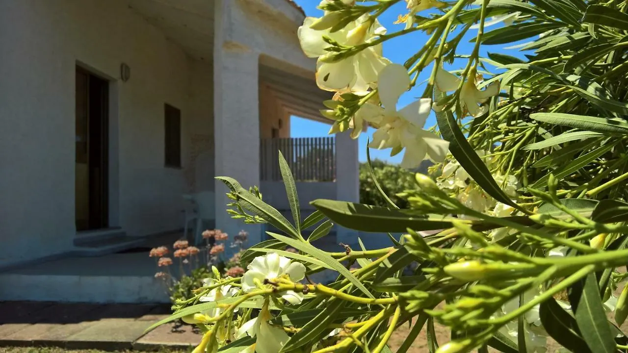 Villa Singola Valledoria  Valledoria (Sardinia)